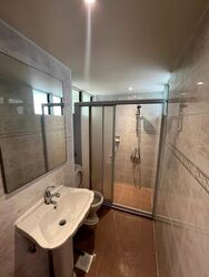 Dunearn Road (D11), Condominium #523846381